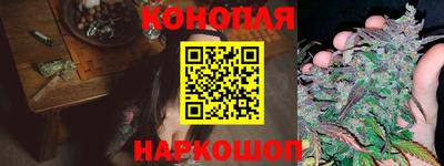 стаф Малгобек