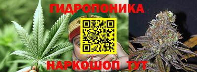 стаф Малгобек