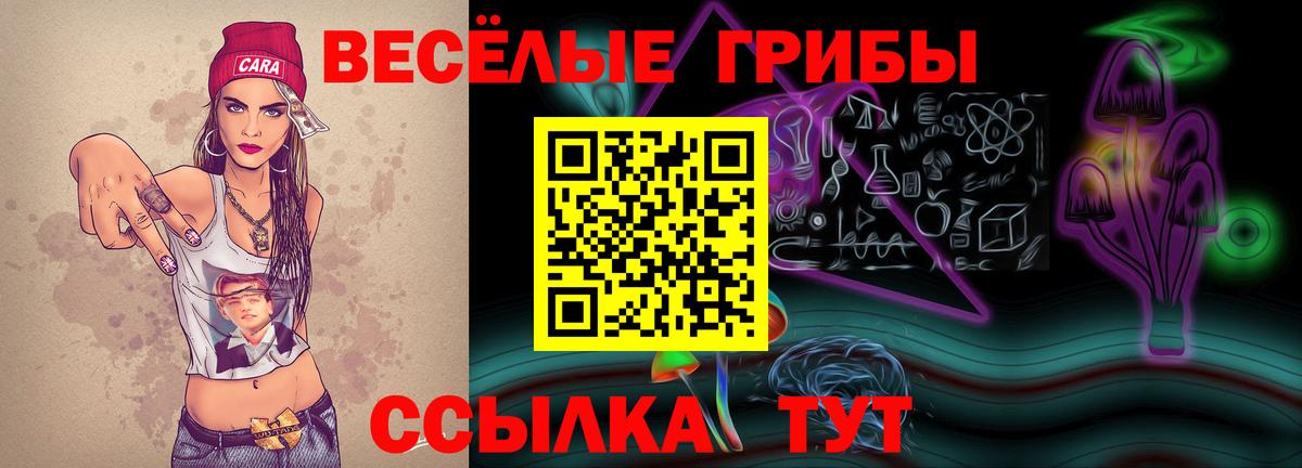 Галлюциногенные грибы мухоморы  Псилоцибиновые грибы Psilocybe  купить наркотик  Вязники  Вход с VPN 